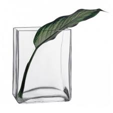 PASABAHCE80131 BOTANICA VASE 6X1'S