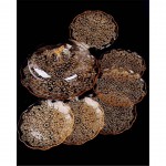 FAVORIM HURREM CAKE SET TRANSP GOLD 3X1'S 7PCS