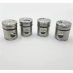 FAME CELLAR UN-436 SALT 8X12'S